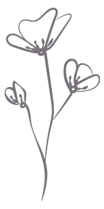 unnamed image